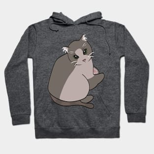 Chonky cat looking up Hoodie